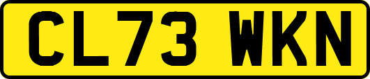 CL73WKN