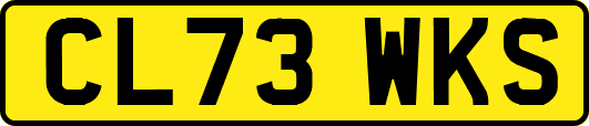 CL73WKS
