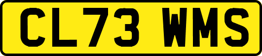 CL73WMS