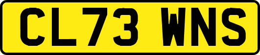 CL73WNS