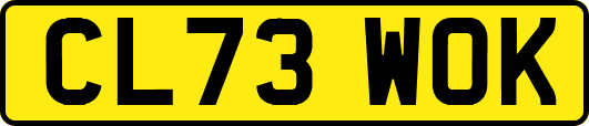 CL73WOK