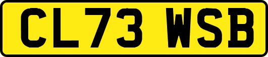 CL73WSB