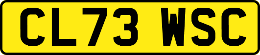 CL73WSC
