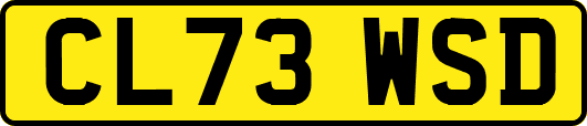 CL73WSD
