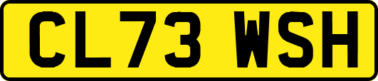 CL73WSH