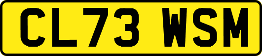 CL73WSM