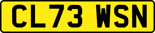 CL73WSN
