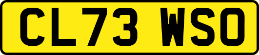 CL73WSO