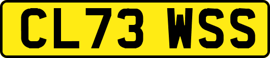 CL73WSS