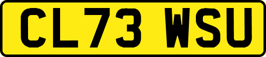 CL73WSU