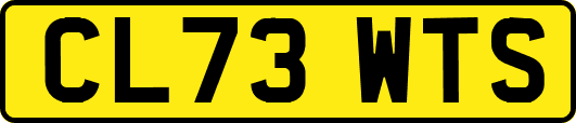CL73WTS