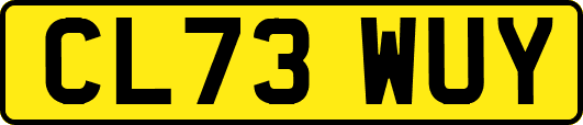 CL73WUY