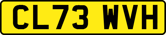 CL73WVH