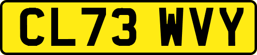 CL73WVY
