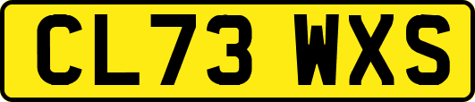 CL73WXS