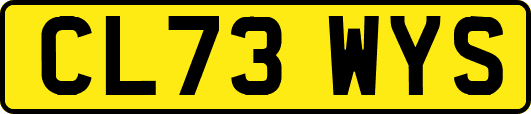 CL73WYS