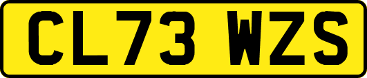 CL73WZS