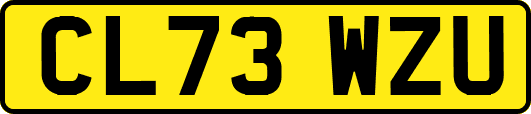 CL73WZU