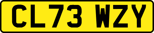CL73WZY