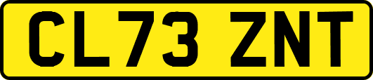 CL73ZNT