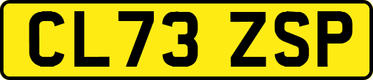CL73ZSP