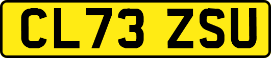 CL73ZSU