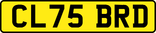 CL75BRD