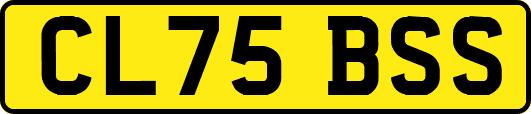 CL75BSS