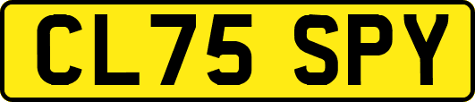 CL75SPY