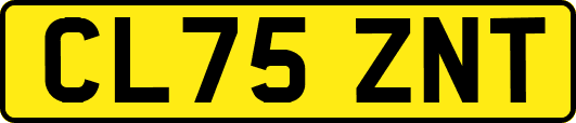 CL75ZNT