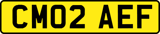 CM02AEF