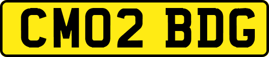 CM02BDG
