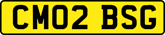 CM02BSG