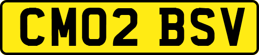 CM02BSV