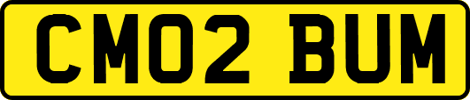 CM02BUM