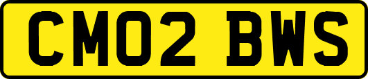 CM02BWS