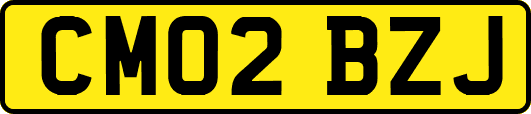 CM02BZJ