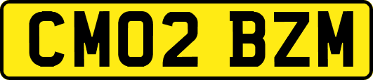 CM02BZM