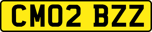 CM02BZZ