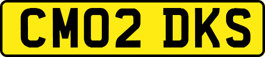CM02DKS