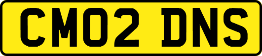CM02DNS