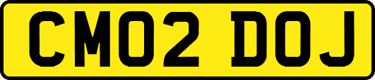 CM02DOJ