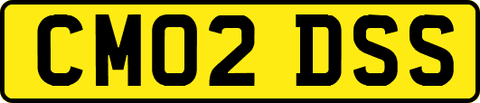 CM02DSS