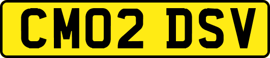 CM02DSV