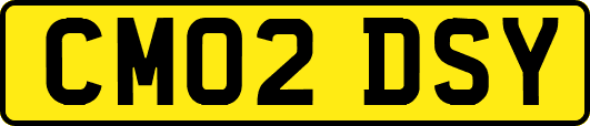 CM02DSY