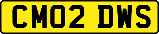CM02DWS