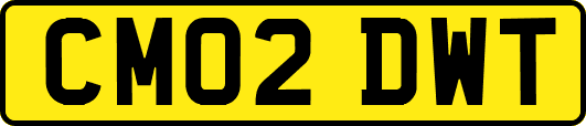 CM02DWT
