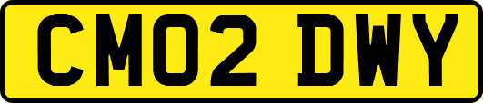 CM02DWY