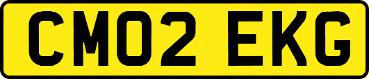 CM02EKG