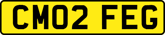 CM02FEG